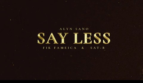 SAY LESS cover pic - daflx